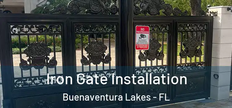 Iron Gate Installation Buenaventura Lakes - FL